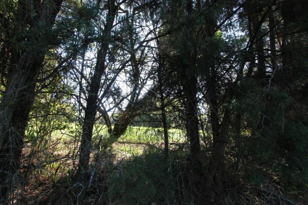 Terreno residencial à venda por R$ 2.200.000,00 - Taubaté/SP