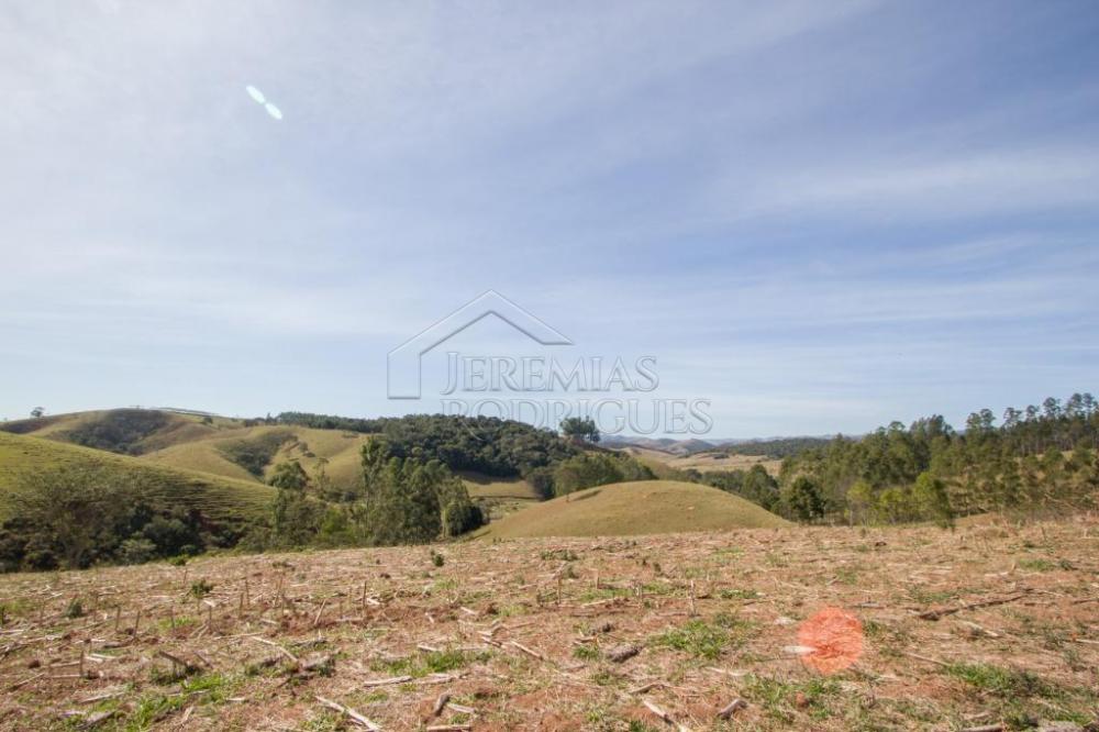 Rural misto à venda por R$ 4.500.000,00 - Lagoinha/SP