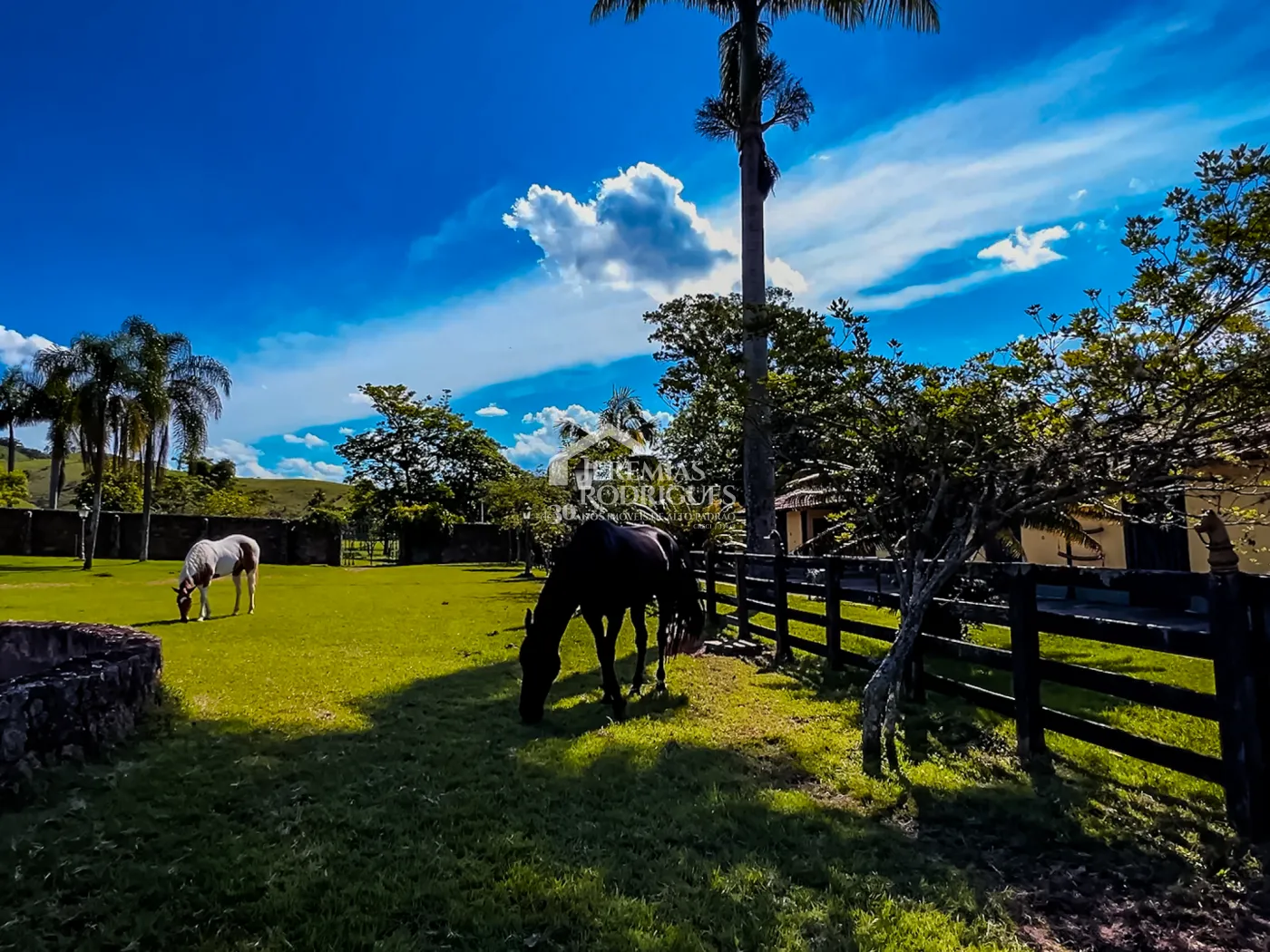 Fazenda à venda com 919,6 hectares em Cachoeira Paulista/SP.