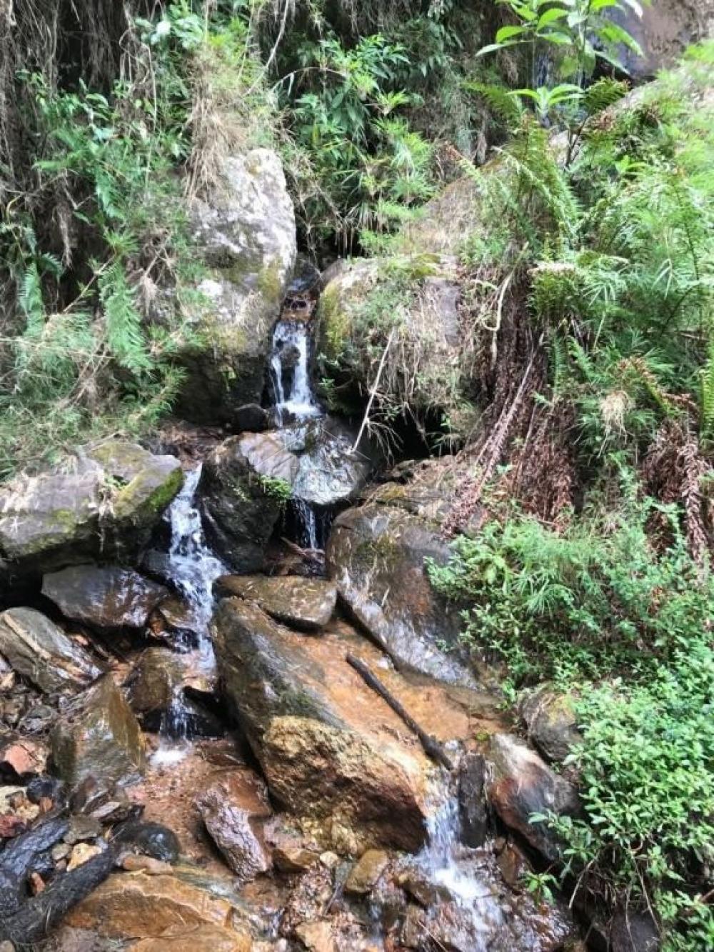Terreno residencial à venda por R$ 1.300.000,00 - Campos do Jordão/SP