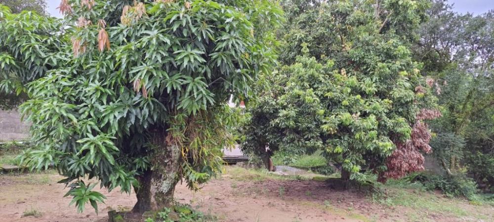 Chácara à venda com com 3 suítes no bairro Areão em Taubaté/SP. 