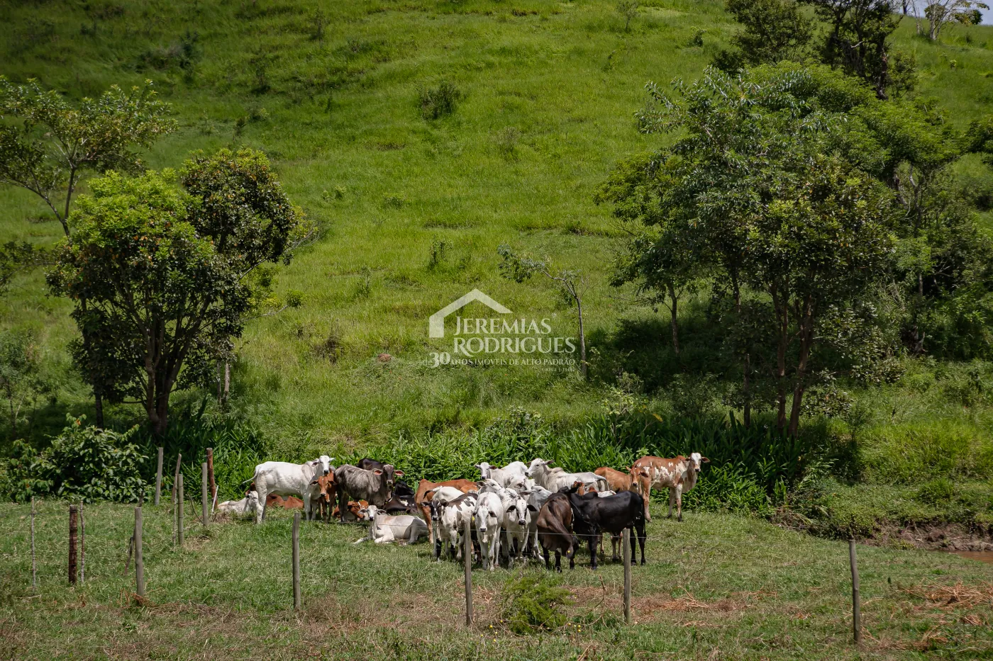 Fazenda com 2.808.000 m² - Caçapava/SP