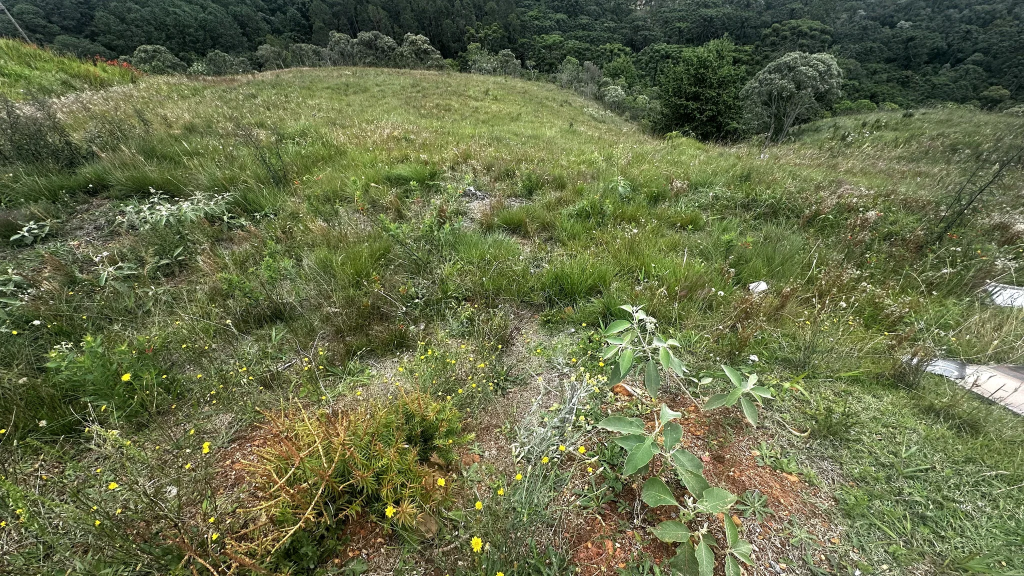 Terreno à venda com 2.650 m² no Condomínio Reserva Figueiredo em Campos do Jordão/SP. 