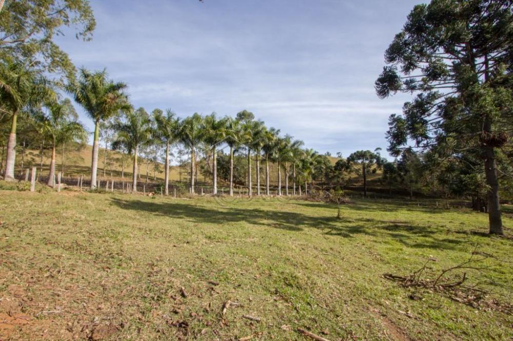 Rural misto à venda por R$ 4.500.000,00 - Lagoinha/SP