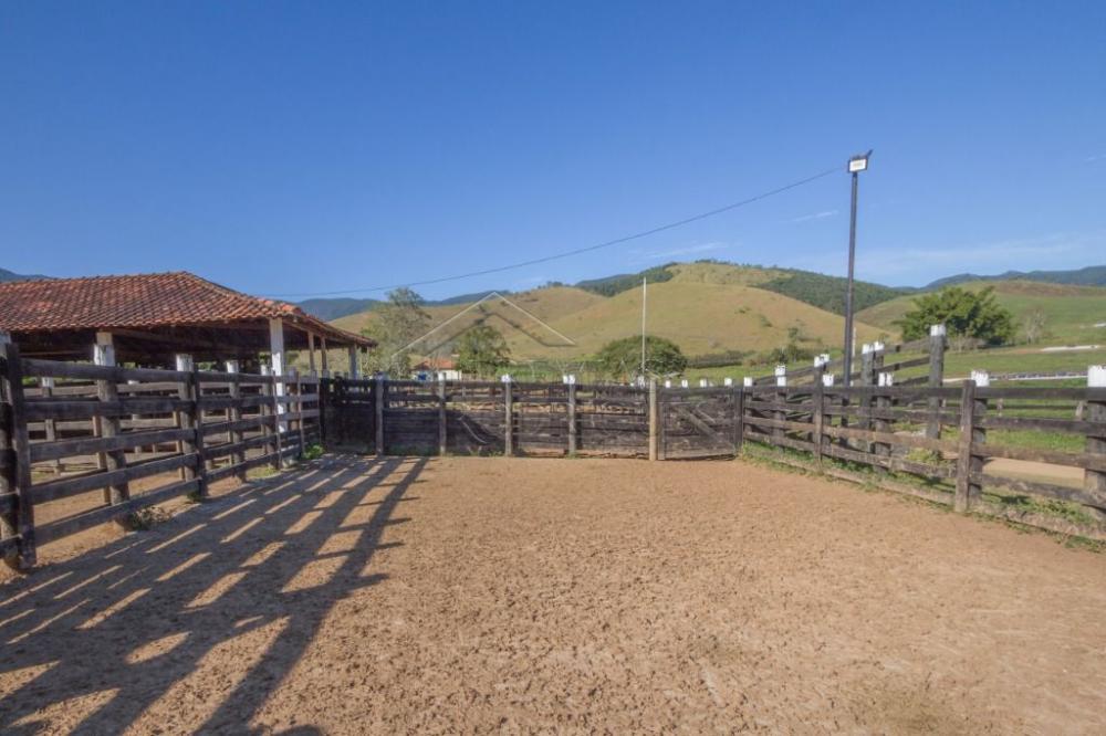 Rural misto à venda por R$ 20.000.000,00 - Roseira/SP