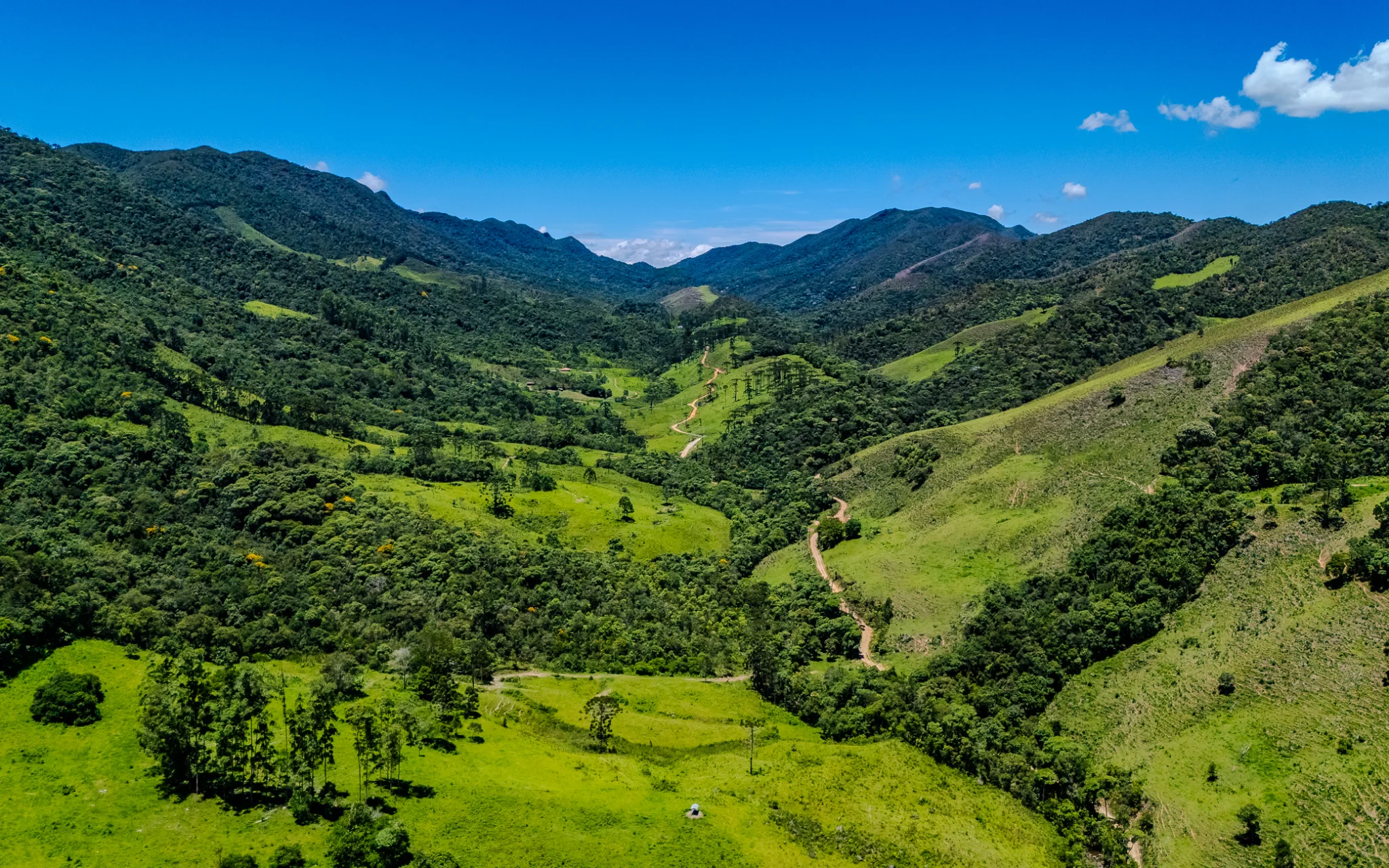 Fazenda à venda com 78 hectares em São José do Barreiro/SP. 
