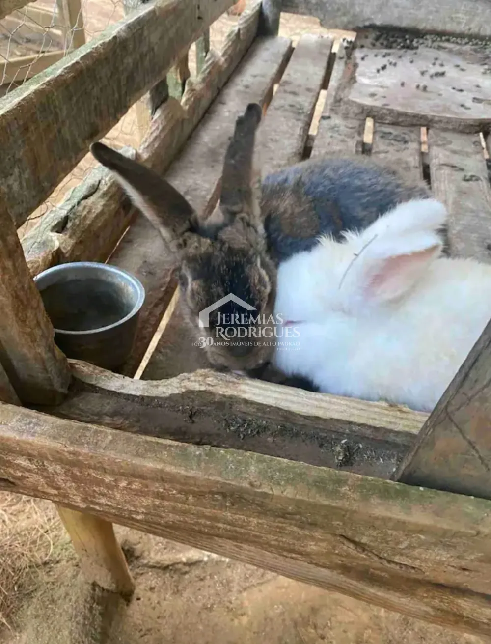 Casa com 6 suítes, 550 m² - Condomínio Pedra do Fogo - Campos do Jordão/SP