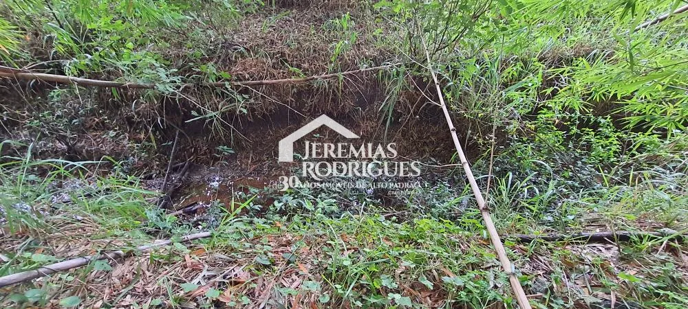 Terreno misto de 24627 m² à venda por R$ 5.390.000,00 - Taubaté/SP