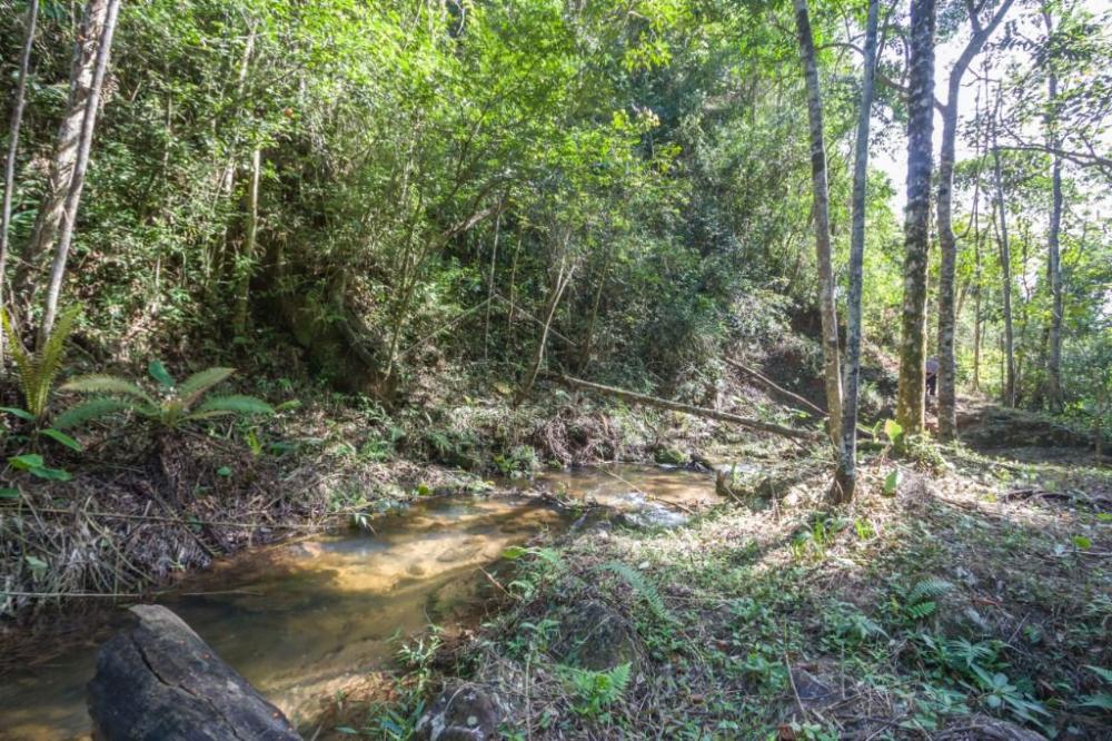 Rural misto à venda por R$ 20.000.000,00 - Roseira/SP