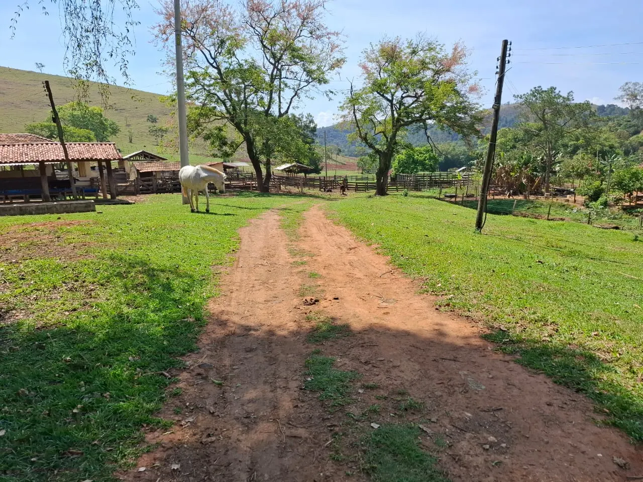 Fazenda à venda com 60 alqueires em Lorena/SP. 