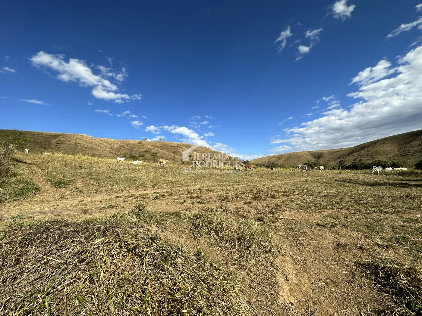 Fazenda para criação de gado de corte e plantação de milho, com mais de 612 hectares, em Cruzeiro-SP.