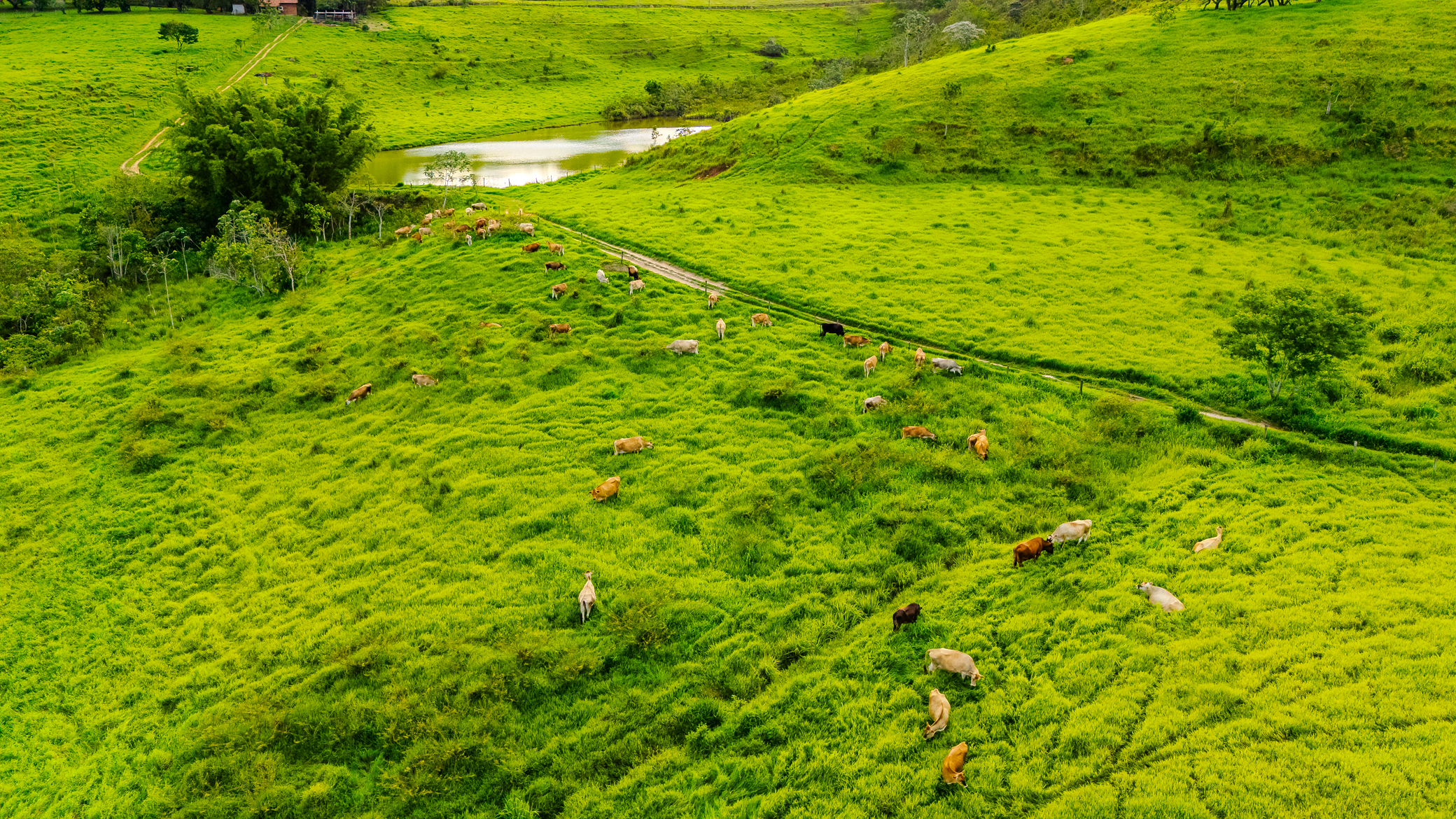 Fazenda à venda com 89,87 ha no bairro Piracuama em Pindamonhangaba/SP. 