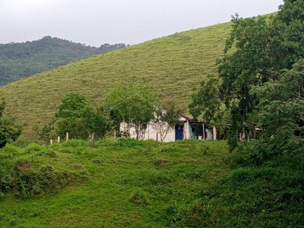 Fazenda à venda em Pindamonhangaba/SP