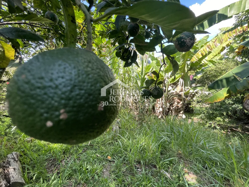 Chácara com 3 quartos, 3.901 m² - Sapé I - Caçapava/SP