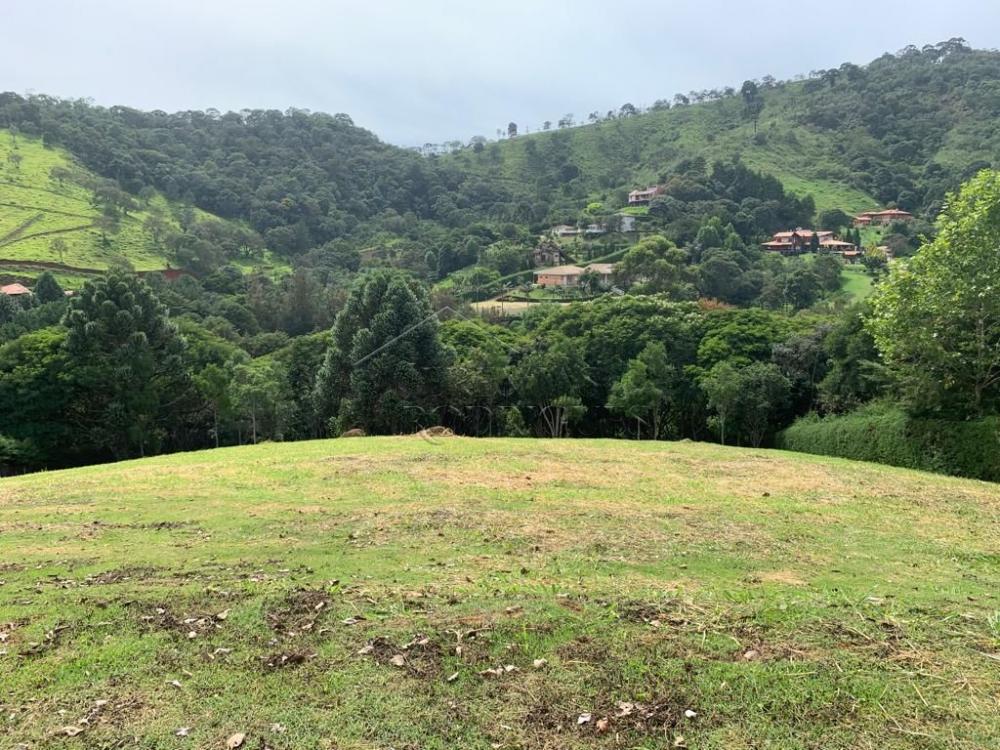 Terreno residencial à venda por R$ 850.000,00 - Santo Antônio do Pinhal/SP