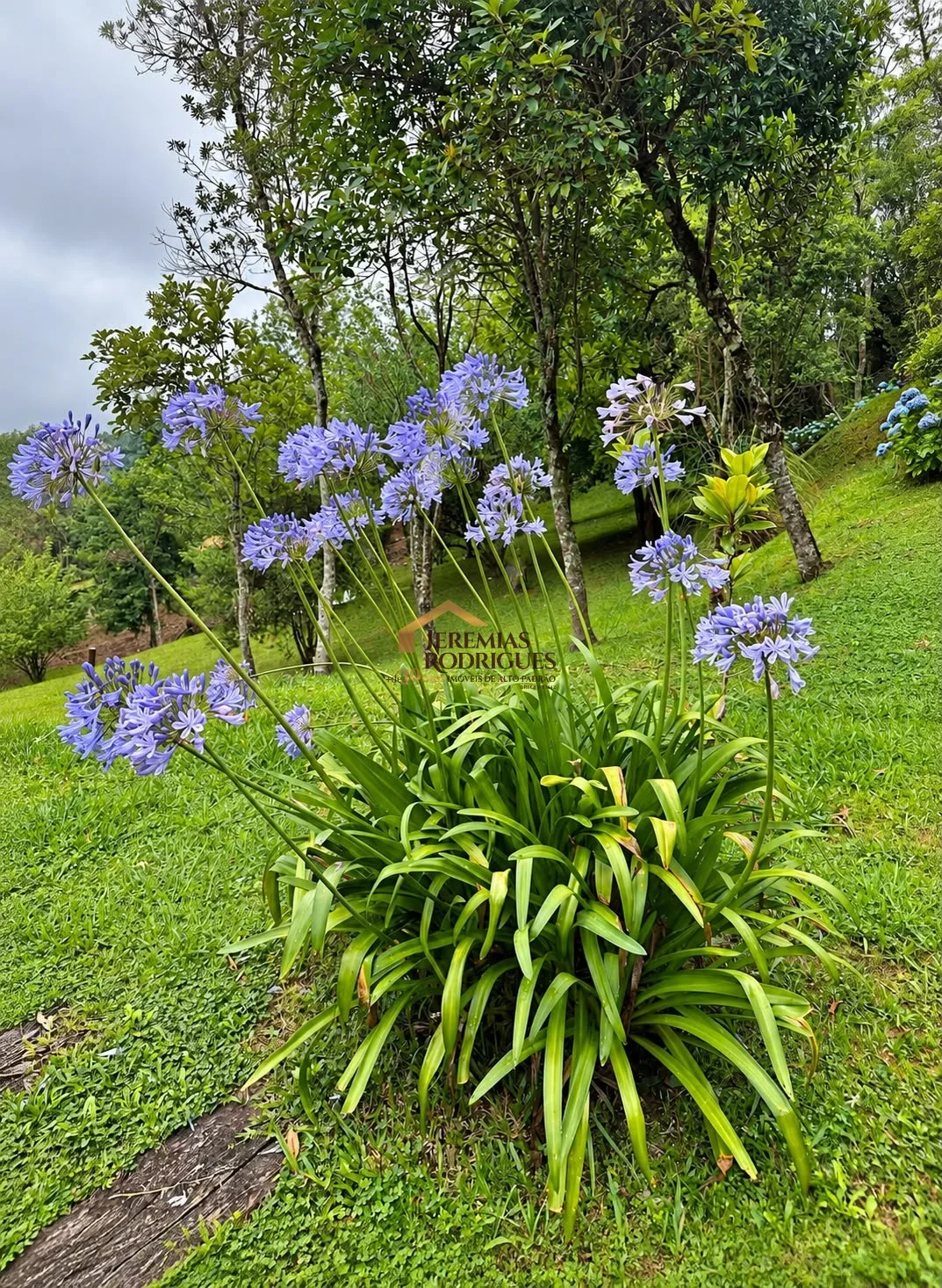 Casa à venda no Condomínio Pedra do Fogo em Campos do Jordão/SP. - foto 24