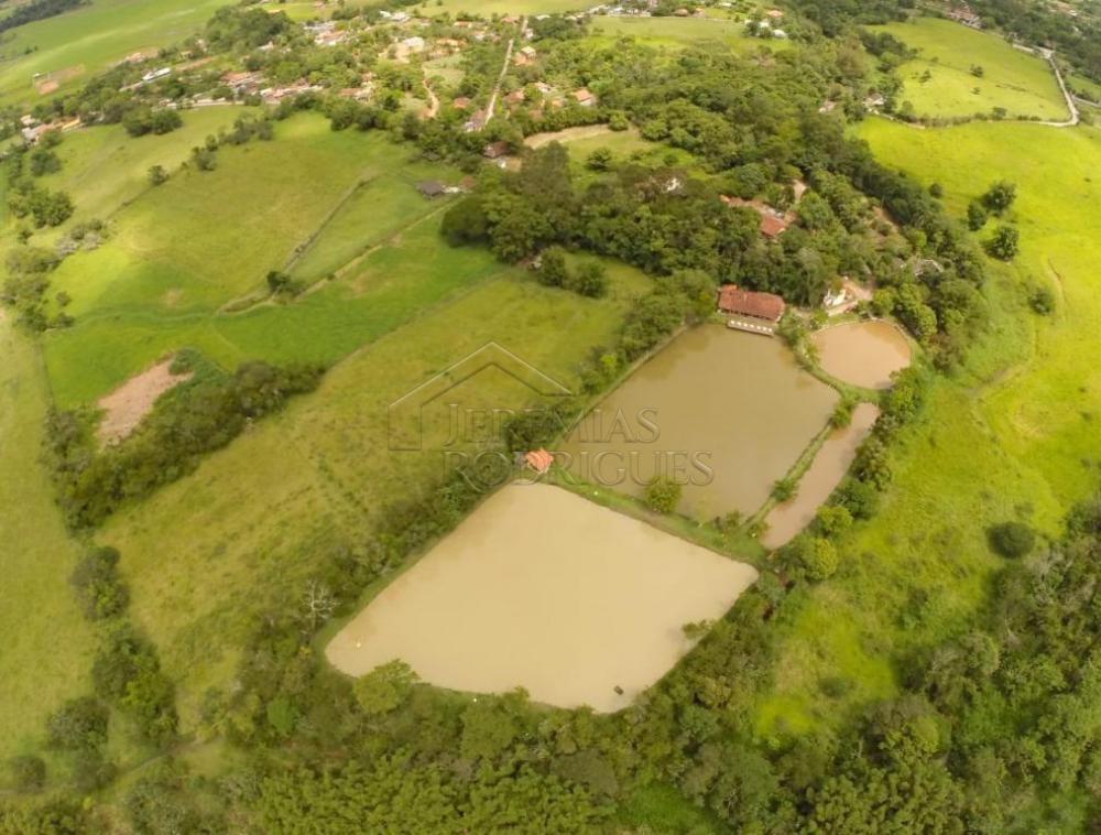 Rural misto à venda por R$ 1.500.000,00 - Pindamonhangaba/SP