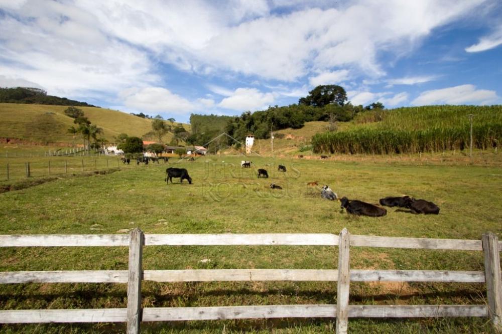 Fazenda com 4 dormitórios à venda, 968.000 m² - Lagoinha/SP