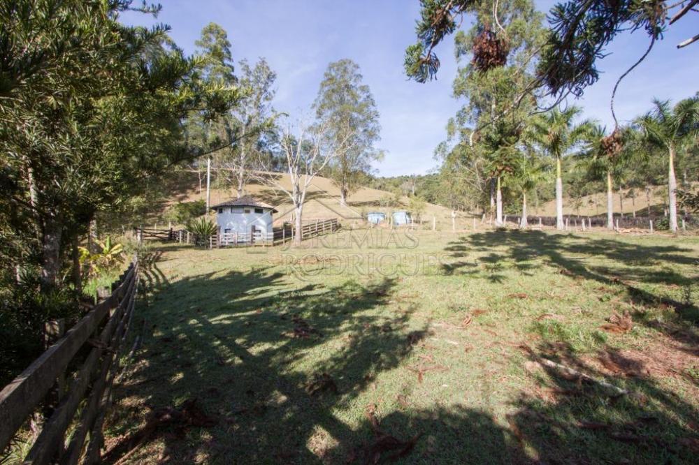 Rural misto à venda por R$ 4.500.000,00 - Lagoinha/SP