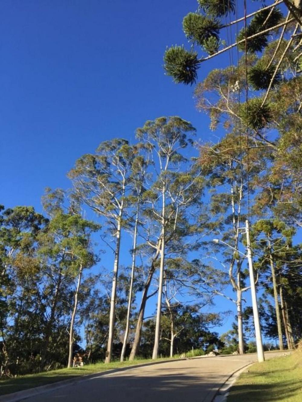 Terreno residencial à venda por R$ 1.000.000,00 - Campos do Jordão/SP