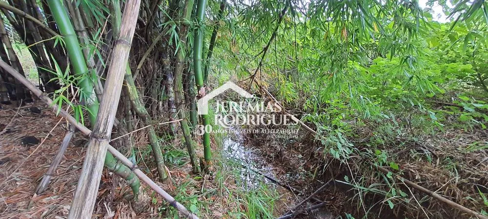 Terreno misto de 24627 m² à venda por R$ 5.390.000,00 - Taubaté/SP