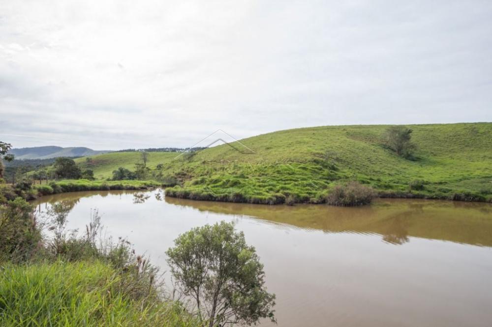 Rural misto à venda por R$ 20.000.000,00 - Roseira/SP
