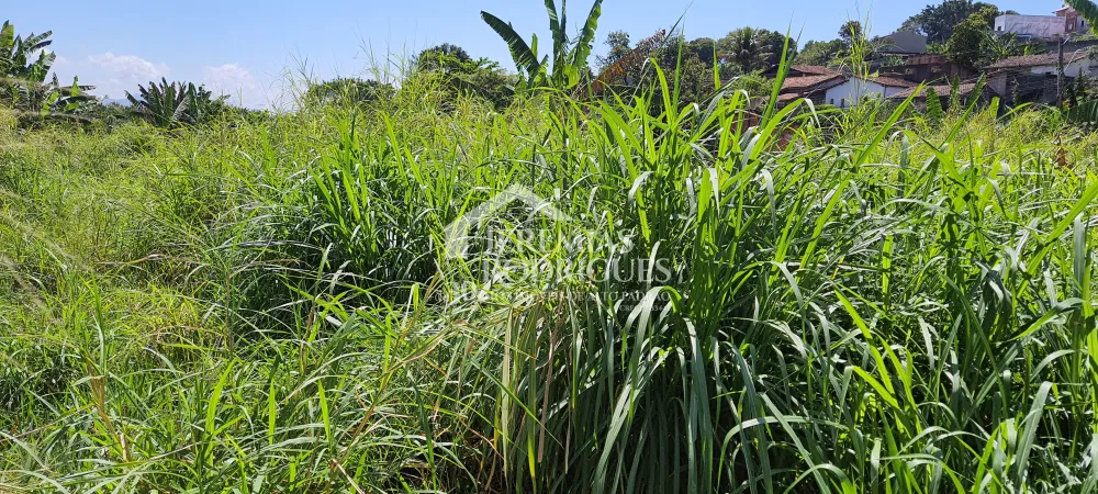 Terreno com 1300 m² - Jardim Paulista - Taubaté/SP