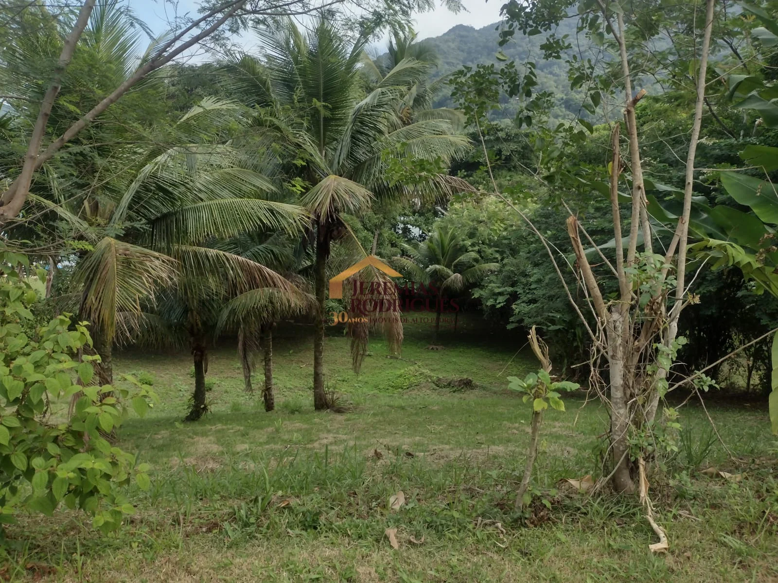 Terreno pé na areia à venda no Condomínio Santa Rita em Ubatuba/SP.