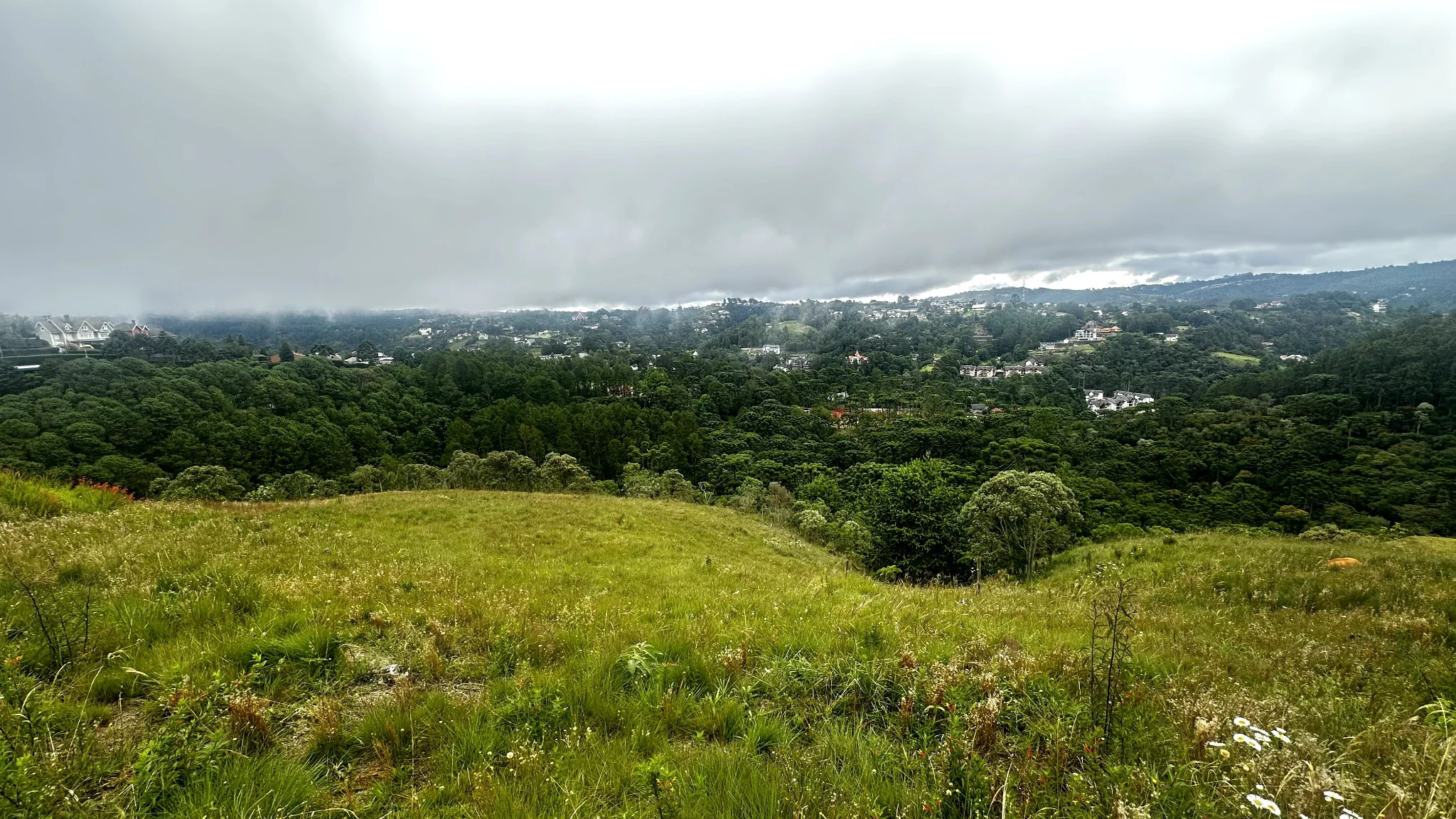 Terreno à venda com 2.650 m² no Condomínio Reserva Figueiredo em Campos do Jordão/SP. 
