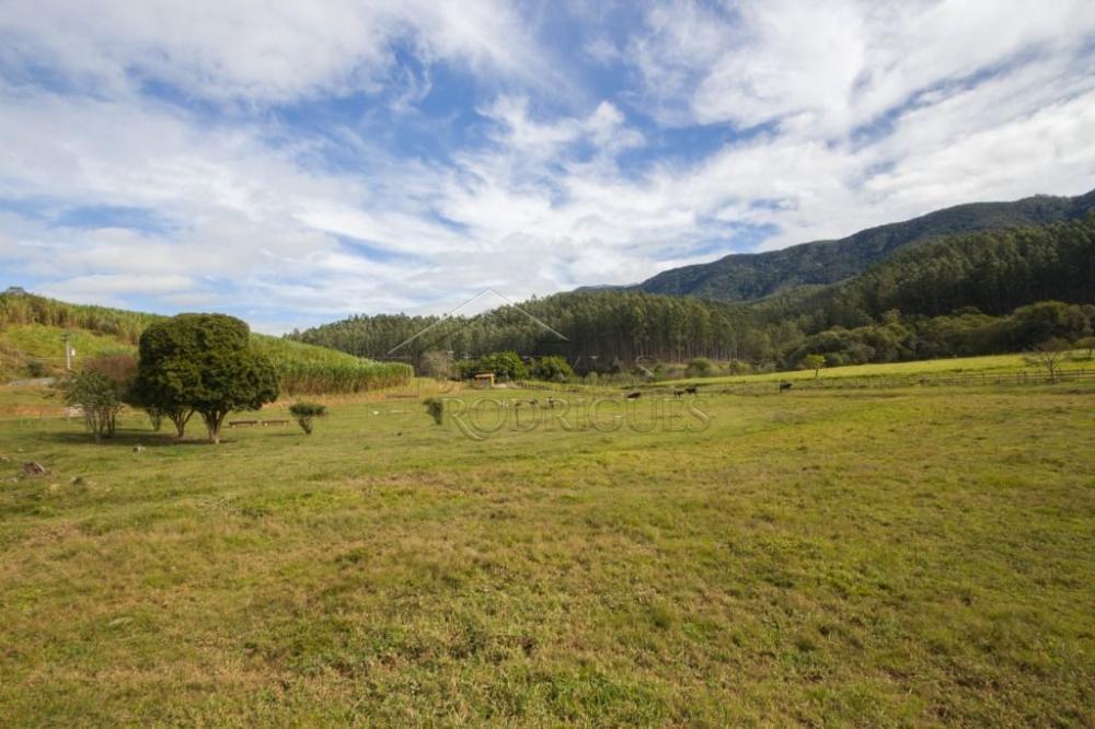 Fazenda com 4 dormitórios à venda, 968.000 m² - Lagoinha/SP