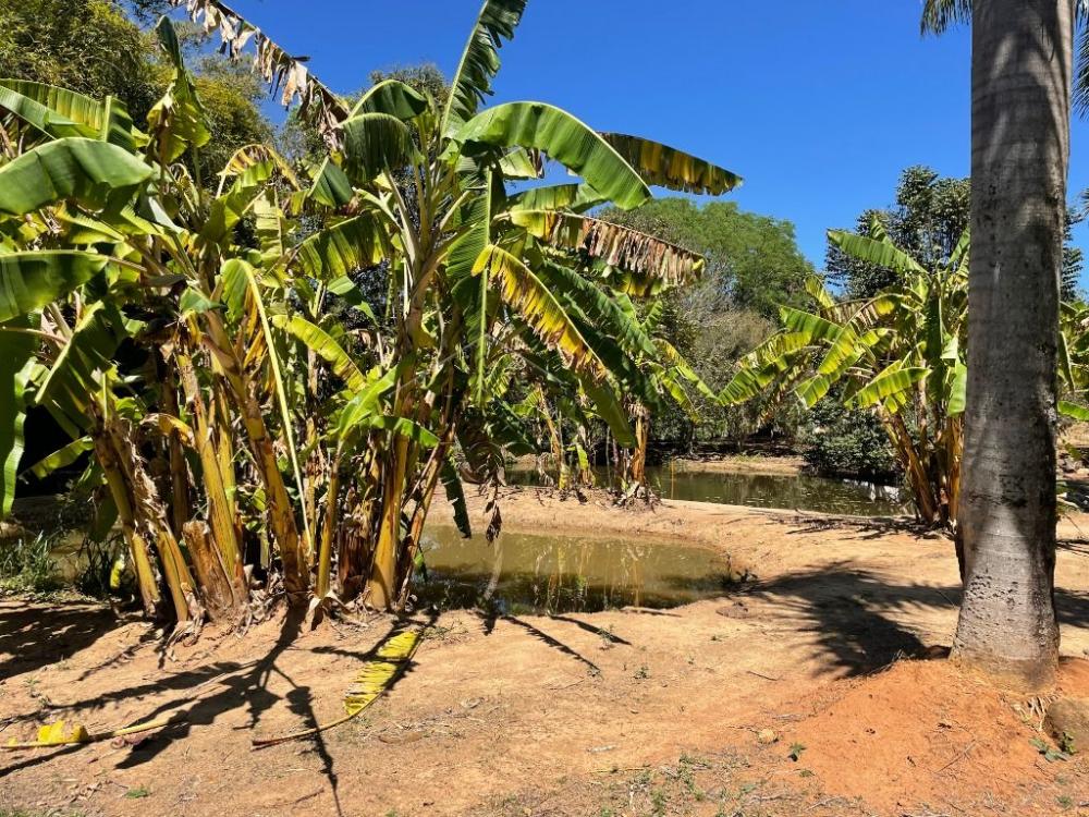 Fazenda com 2 quartos, 2.553.500 m², à venda por R$ 5.800.000- Lorena - Lorena/SP