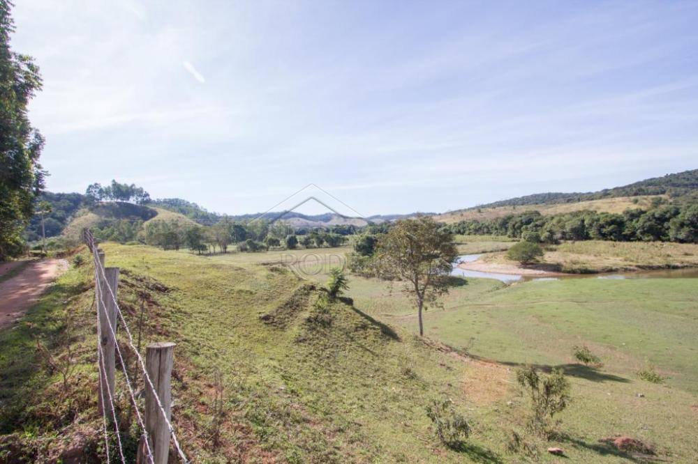 Rural misto à venda por R$ 4.500.000,00 - Lagoinha/SP
