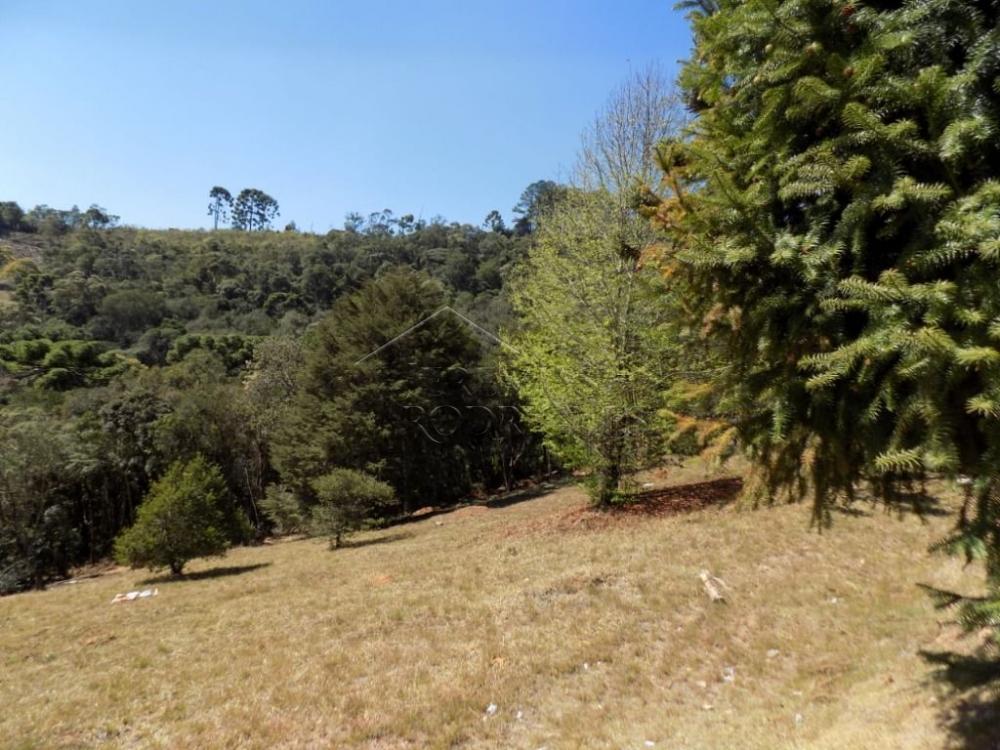 Terreno residencial à venda por R$ 850.000,00 - Campos do Jordão/SP