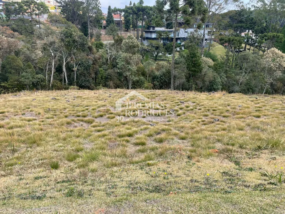 Terreno com 1446 m² - Condomínio Reserva Figueiredo - Campos do Jordão/SP.