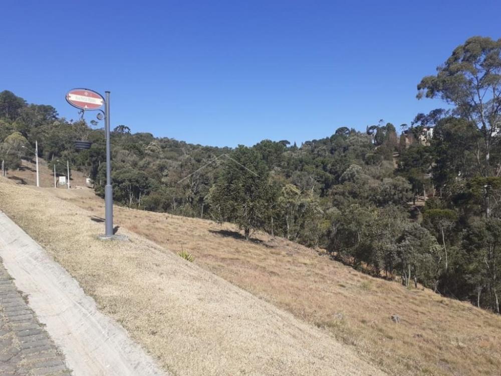 Terreno residencial à venda por R$ 1.000.000,00 - Campos do Jordão/SP
