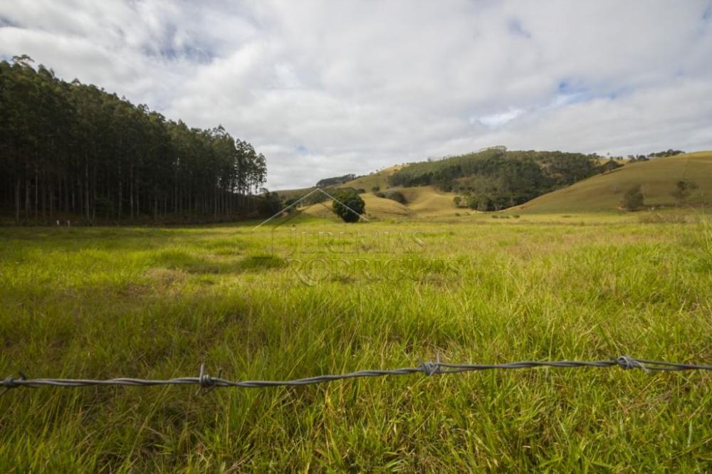 Fazenda com 4 dormitórios à venda, 968.000 m² - Lagoinha/SP