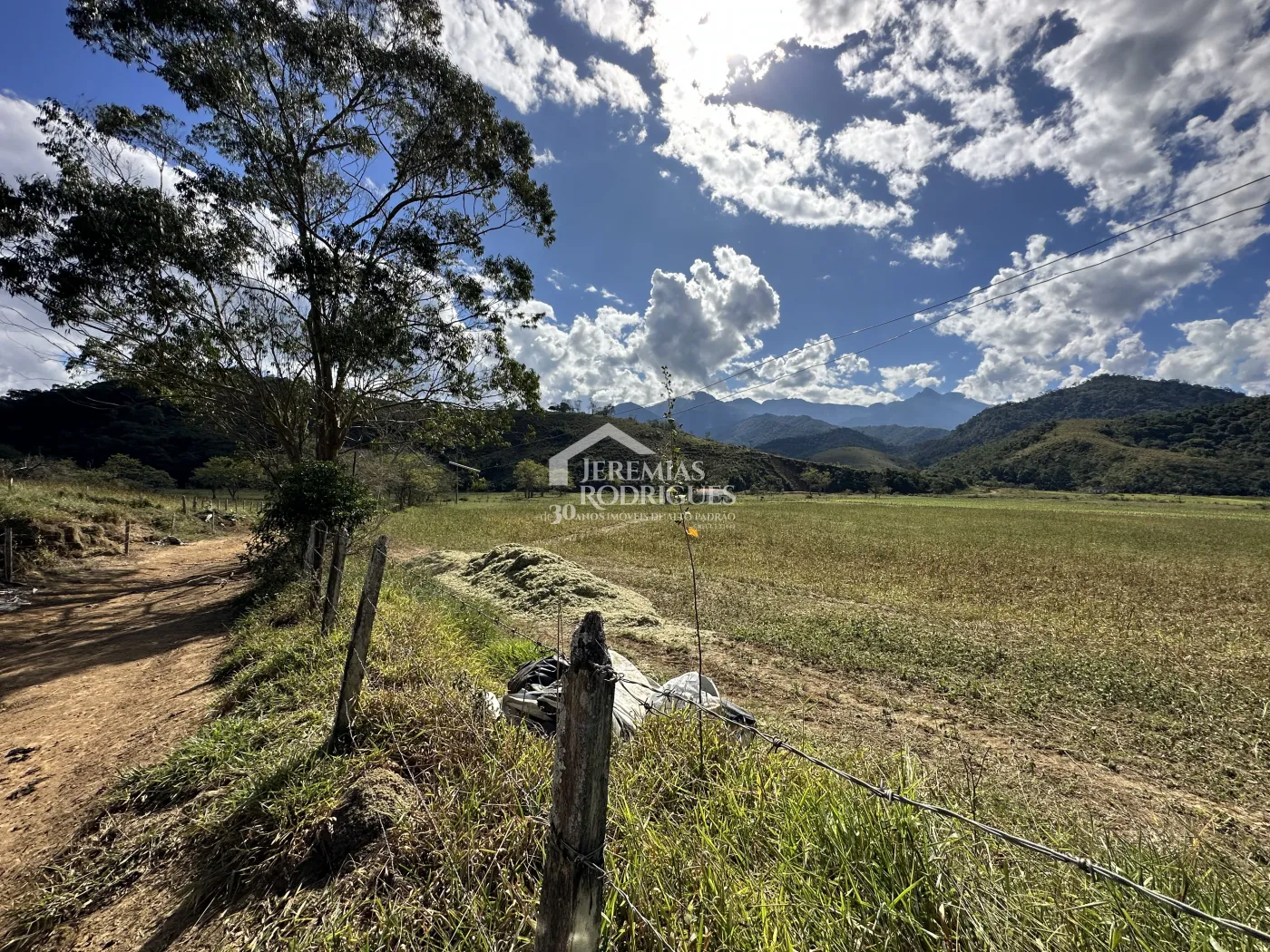 Fazenda para criação de gado de corte e plantação de milho, com mais de 612 hectares, em Cruzeiro-SP.