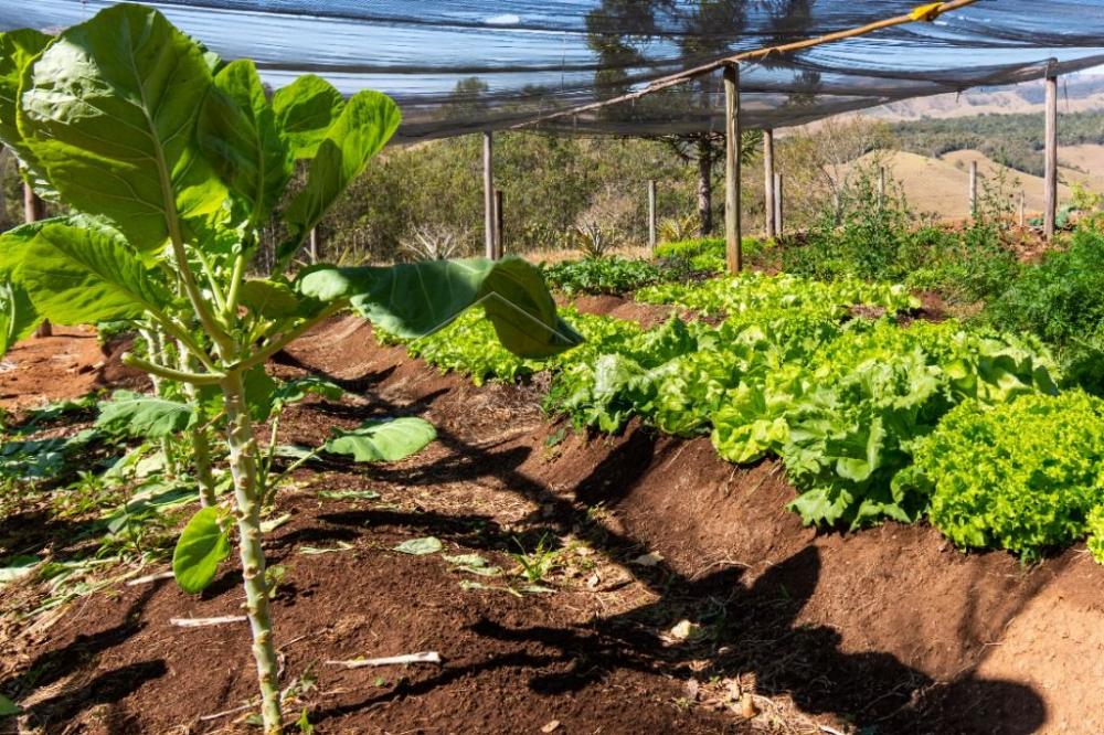 Sítio com 7 quartos, 38 hectares - Cachoeira Grande - Lagoinha/SP