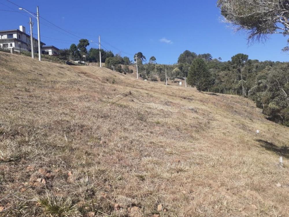 Terreno residencial à venda por R$ 1.000.000,00 - Campos do Jordão/SP