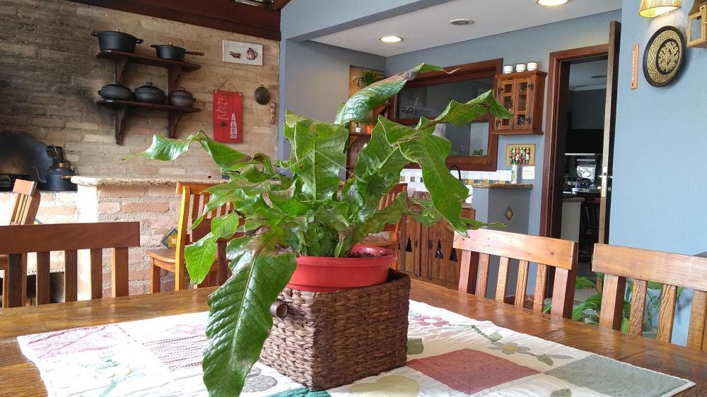 Casa à venda com 4 dormitórios no Condomínio Taubaté Village em Taubaté/SP. 