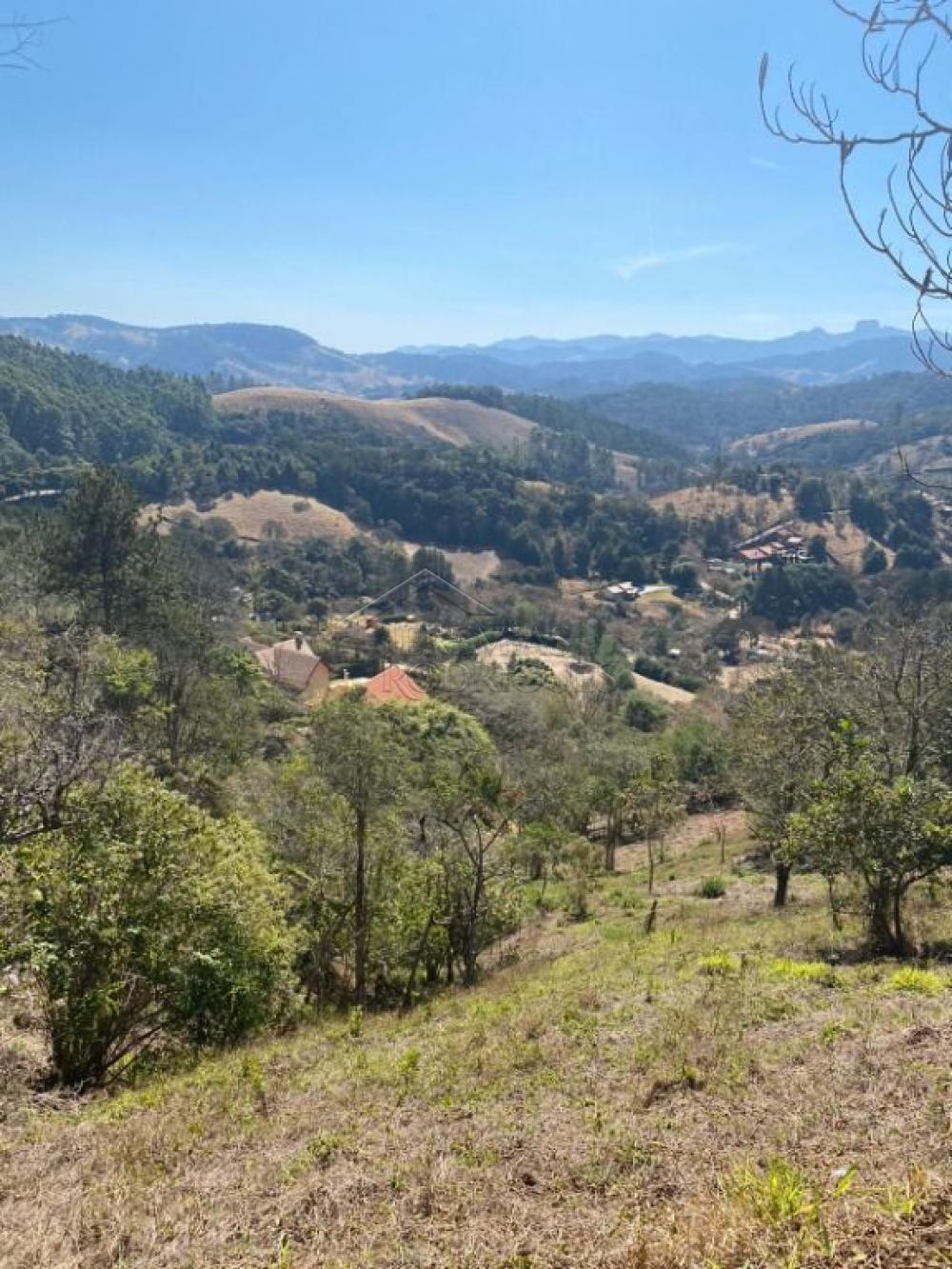 Terreno residencial à venda por R$ 535.000,00 - Santo Antônio do Pinhal/SP