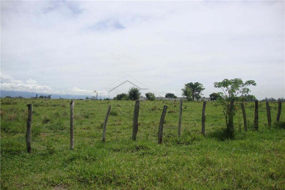 Área rural à venda com 123.247 m² no bairro Jardim Regina em Pindamonhangaba/SP.