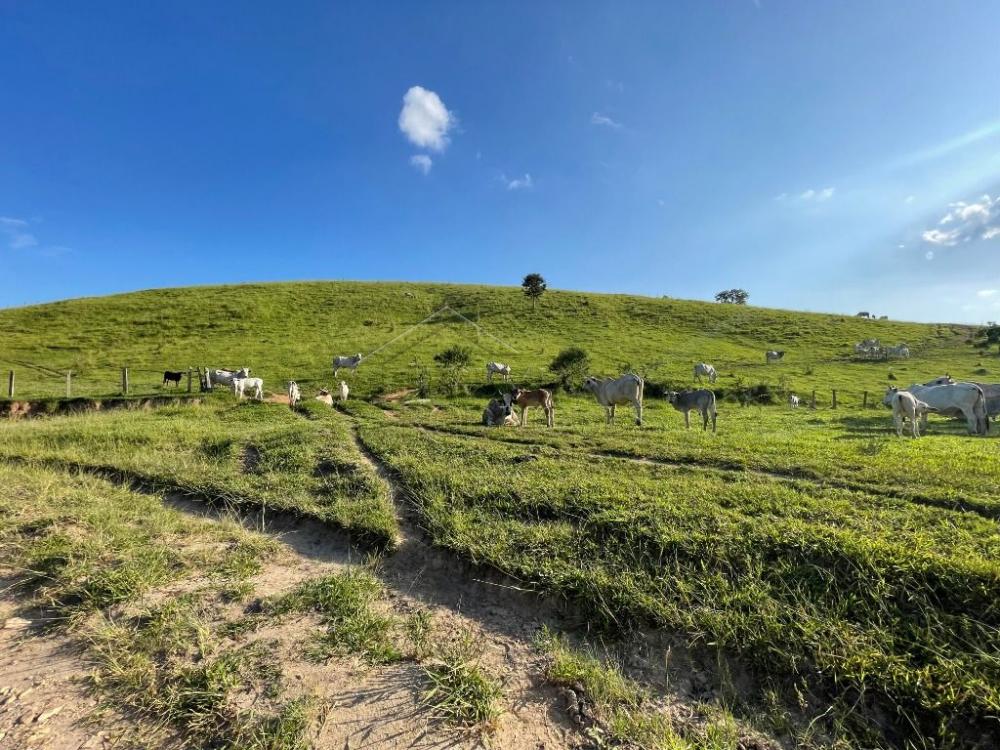 Fazenda à venda em Cunha/SP