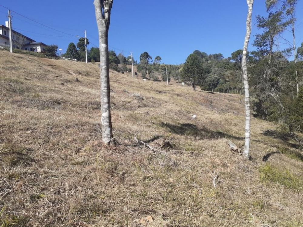 Terreno residencial à venda por R$ 1.000.000,00 - Campos do Jordão/SP