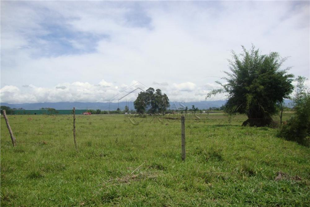 Área rural à venda com 123.247 m² no bairro Jardim Regina em Pindamonhangaba/SP.