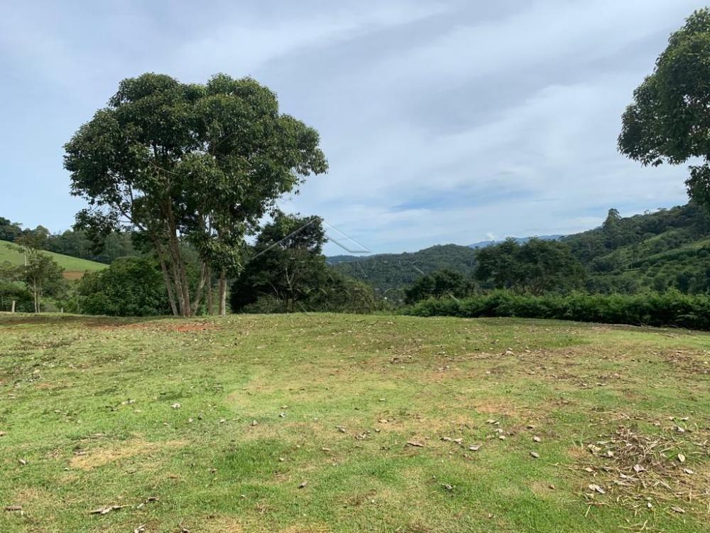 Terreno residencial à venda por R$ 850.000,00 - Santo Antônio do Pinhal/SP
