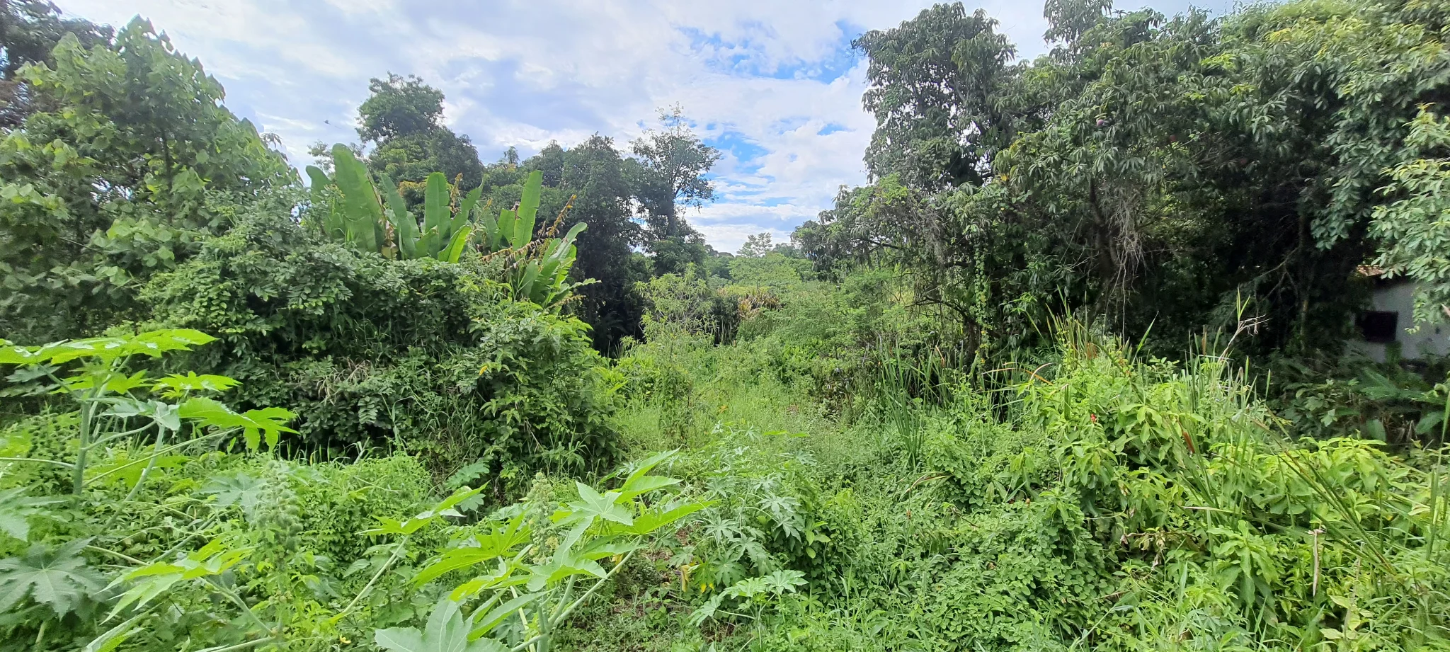 Área à venda com 10.969 m² no bairro Areão em Taubaté/SP.