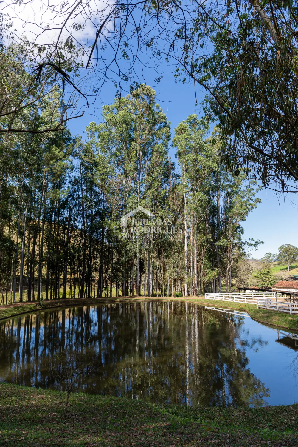 Fazenda com 314 hectares em Cunha/SP