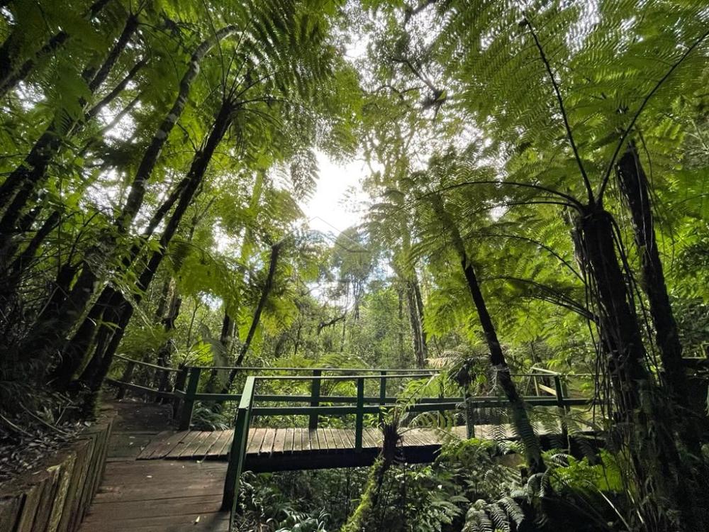 Terreno residencial à venda por R$ 650.000,00 - Campos do Jordão/SP