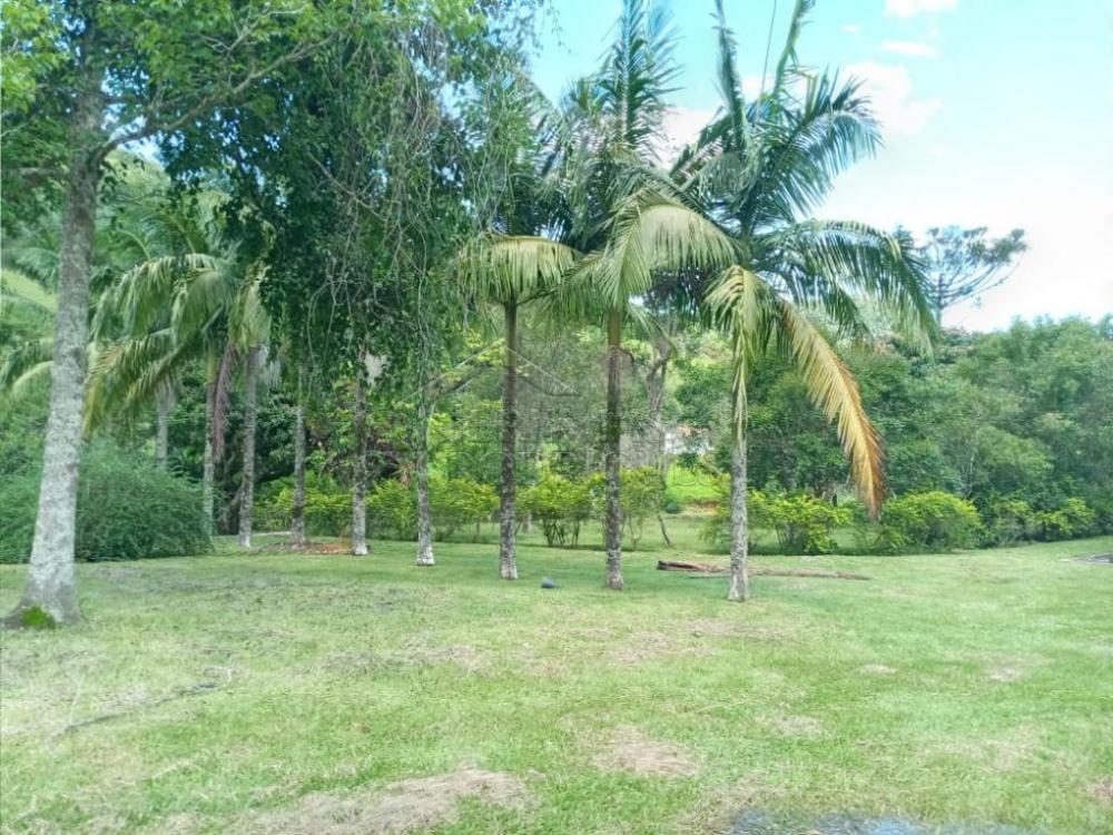 Fazenda à venda em Pindamonhangaba/SP